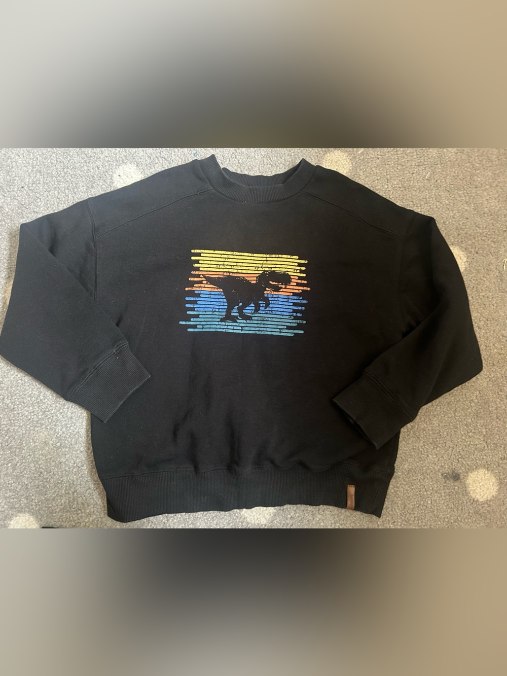 Boys Black Sweatshirt with Rainbow Striped Bear Graphic Size 8